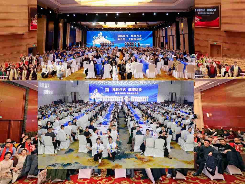 稀世佳茗“陳升老班章之甄品”，2024燃爆全國(guó)的茶文化盛宴